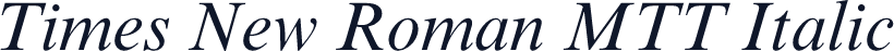 Times New Roman MTT Italic