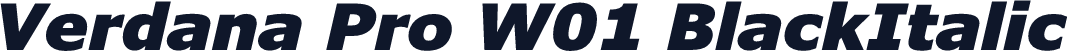 Verdana Pro W01 BlackItalic