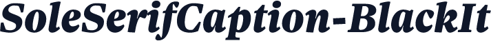 SoleSerifCaption-BlackIt