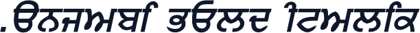 Punjabi Bold Italic