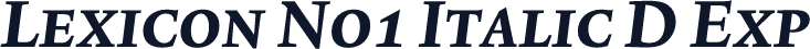 Lexicon No1 Italic D Exp