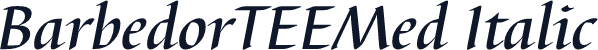 BarbedorTEEMed Italic