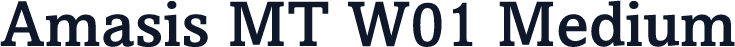 Amasis MT W01 Medium