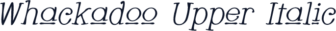 Whackadoo Upper Italic