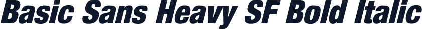 Basic Sans Heavy SF Bold Italic