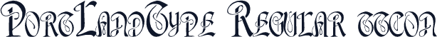 PortLandType Regular ttcon
