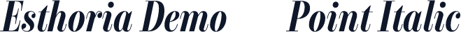 Esthoria Demo 24 Point Italic