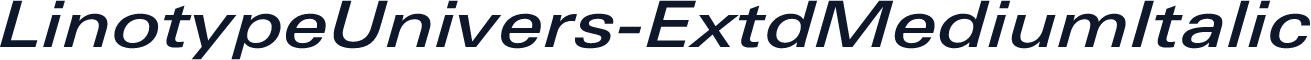 LinotypeUnivers-ExtdMediumItalic
