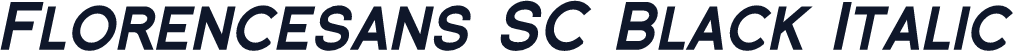 Florencesans SC Black Italic