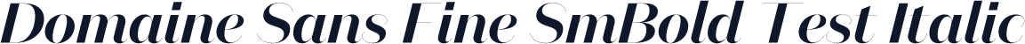 Domaine Sans Fine SmBold Test Italic