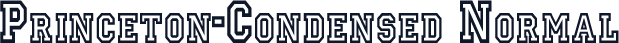 Princeton-Condensed Normal
