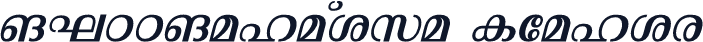 ML-TTMalavika Italic