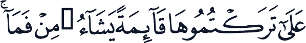 QCF_P546