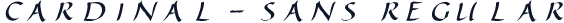 Cardinal-Sans Regular