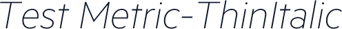 Test Metric-ThinItalic