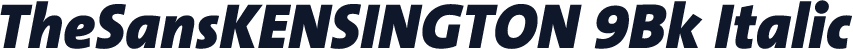 TheSansKENSINGTON 9Bk Italic