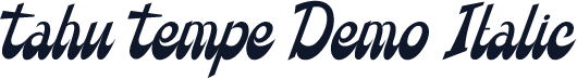 Tahu Tempe Demo Italic