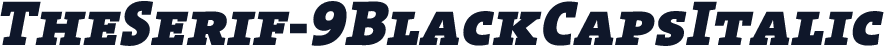 TheSerif-9BlackCapsItalic
