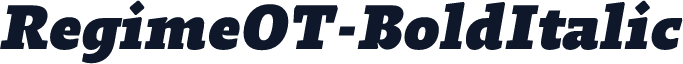 RegimeOT-BoldItalic
