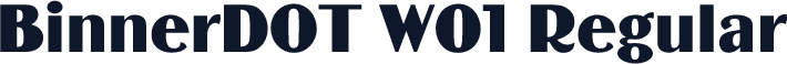 BinnerDOT W01 Regular