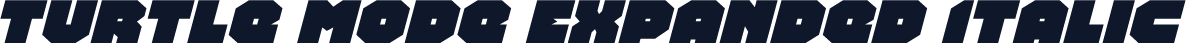 Turtle Mode Expanded Italic