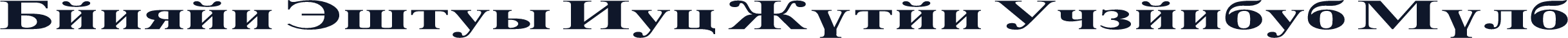 Danzan Times New Roman Expanded Bold