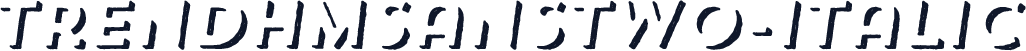 TrendHMSansTwo-Italic