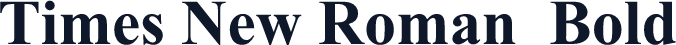 Times New Roman  Bold