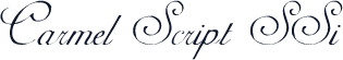 Carmel Script SSi