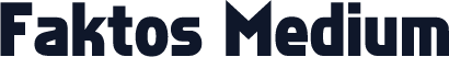 Faktos Medium