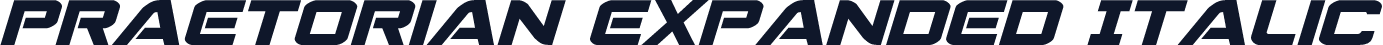 Praetorian Expanded Italic