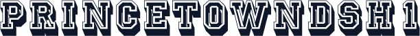 PrincetownDSh1