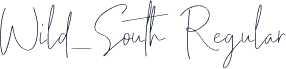 Wild_South Regular