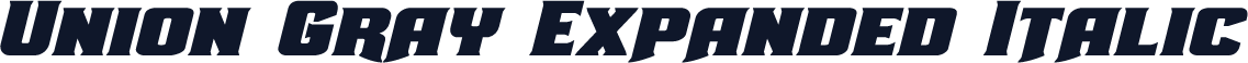 Union Gray Expanded Italic