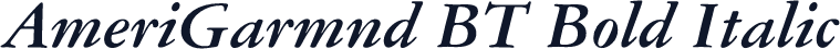 AmeriGarmnd BT Bold Italic