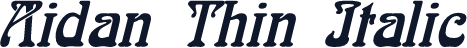 Aidan Thin Italic