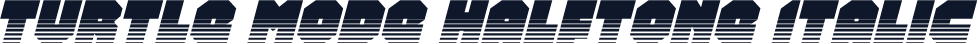 Turtle Mode Halftone Italic