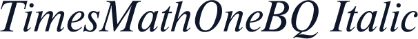 TimesMathOneBQ-Italic
