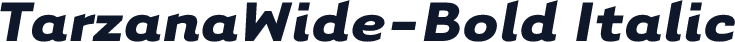 TarzanaWide-Bold Italic