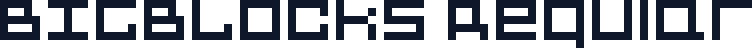 BIGBLOCKS Regular