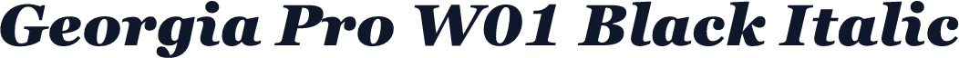 Georgia Pro W01 Black Italic