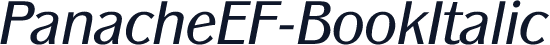 PanacheEF-BookItalic