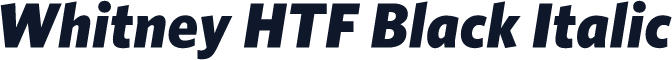 Whitney HTF Black Italic