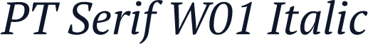 PT Serif W01 Italic