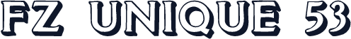 FZ UNIQUE 53