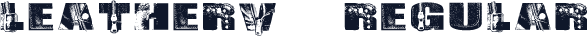 LeatherV2 Regular