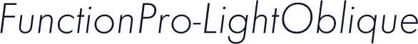 FunctionPro-LightOblique