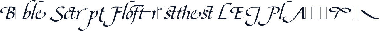 Bible Script Flourishes LET Plain:1.0