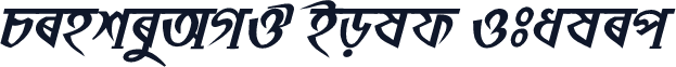 PinkiyAMJ Bold Italic