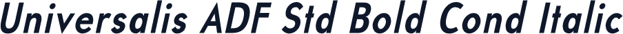 Universalis ADF Std Bold Cond Italic